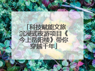 科技赋能文旅 沉浸式夜游项目《今上岳阳楼》带你穿越千年