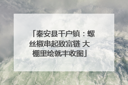 秦安县千户镇：螺丝椒串起致富链 大棚里绘就丰收图