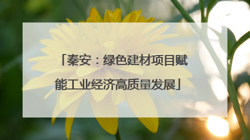 秦安：绿色建材项目赋能工业经济高质量发展