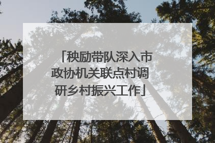 秧励带队深入市政协机关联点村调研乡村振兴工作
