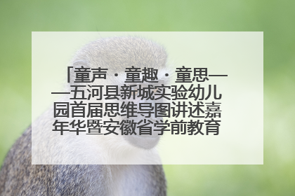 童声・童趣・童思——五河县新城实验幼儿园首届思维导图讲述嘉年华暨安徽省学前教育教研基地园项目阶段性成果展示活动