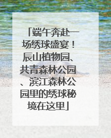 端午奔赴一场绣球盛宴！辰山植物园、共青森林公园、滨江森林公园里的绣球秘境在这里