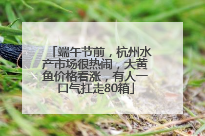 端午节前，杭州水产市场很热闹，大黄鱼价格看涨，有人一口气扛走80箱