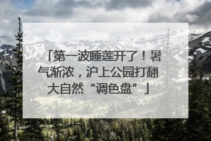 第一波睡莲开了！暑气渐浓，沪上公园打翻大自然“调色盘”