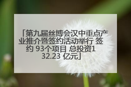 第九届丝博会汉中重点产业推介暨签约活动举行 签约 93个项目 总投资132.23 亿元