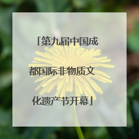 第九届中国成都国际非物质文化遗产节开幕