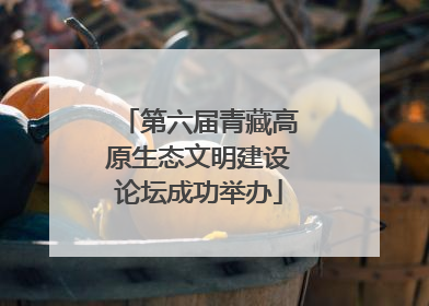 第六届青藏高原生态文明建设论坛成功举办