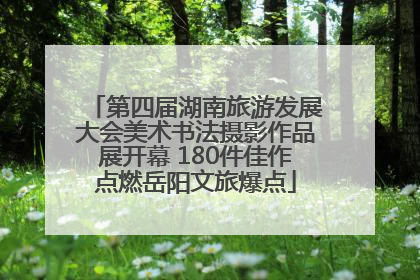 第四届湖南旅游发展大会美术书法摄影作品展开幕 180件佳作点燃岳阳文旅爆点