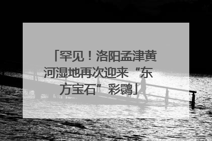 罕见！洛阳孟津黄河湿地再次迎来“东方宝石”彩鹮