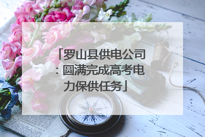 罗山县供电公司：圆满完成高考电力保供任务