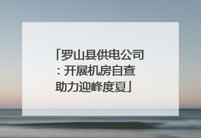 罗山县供电公司：开展机房自查 助力迎峰度夏