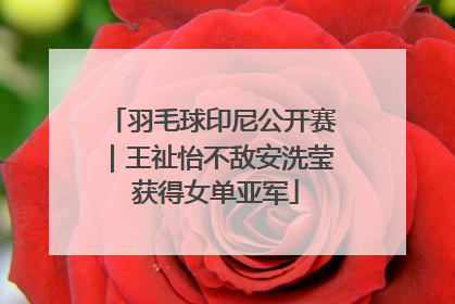 羽毛球印尼公开赛｜王祉怡不敌安洗莹 获得女单亚军