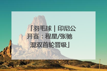 羽毛球｜印尼公开赛：程星/张驰混双首轮晋级