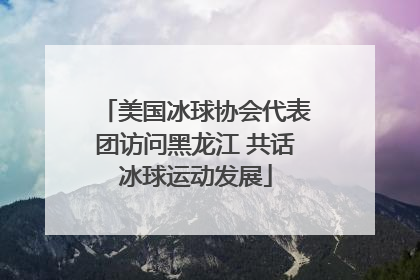 美国冰球协会代表团访问黑龙江 共话冰球运动发展