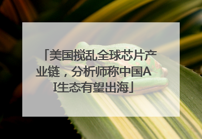 美国搅乱全球芯片产业链，分析师称中国AI生态有望出海
