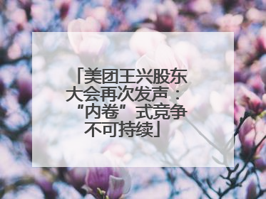 美团王兴股东大会再次发声：“内卷”式竞争不可持续