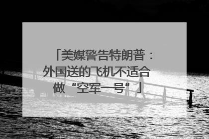 美媒警告特朗普：外国送的飞机不适合做“空军一号”