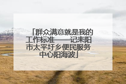 群众满意就是我的工作标准——记耒阳市太平圩乡便民服务中心阳海波
