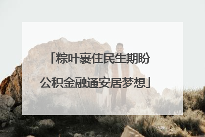 粽叶裹住民生期盼 公积金融通安居梦想