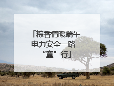 粽香情暖端午 电力安全一路“童”行