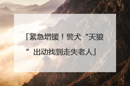 紧急增援！警犬“天狼”出动找到走失老人