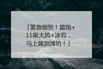 紧急预警！雷雨+11级大风+冰雹，马上就到潍坊！