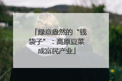 绿意盎然的“钱袋子”：高原夏菜成富民产业
