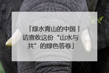 绿水青山的中国丨请查收这份“山水与共”的绿色答卷