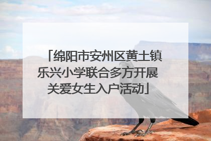 绵阳市安州区黄土镇乐兴小学联合多方开展关爱女生入户活动