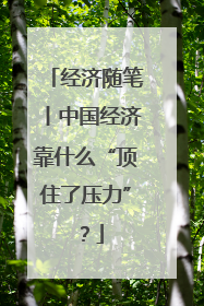 经济随笔丨中国经济靠什么“顶住了压力”？