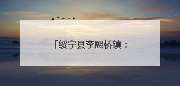 绥宁县李熙桥镇：人大代表勤履职 服务民生显担当