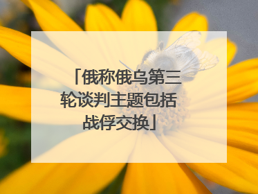俄称俄乌第三轮谈判主题包括战俘交换