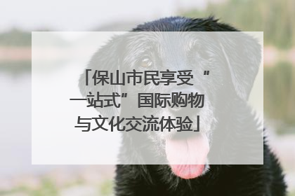保山市民享受“一站式”国际购物与文化交流体验