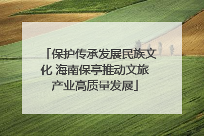 保护传承发展民族文化 海南保亭推动文旅产业高质量发展