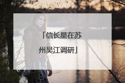 信长星在苏州吴江调研