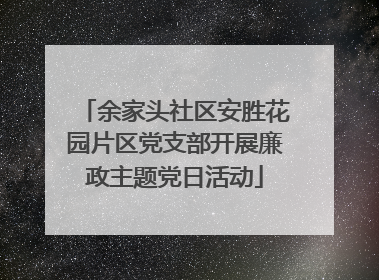 余家头社区安胜花园片区党支部开展廉政主题党日活动