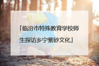临汾市特殊教育学校师生探访乡宁紫砂文化