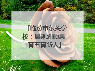 临汾市东关学校：展规划硕果 育五育新人