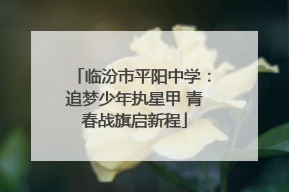 临汾市平阳中学：追梦少年执星甲 青春战旗启新程