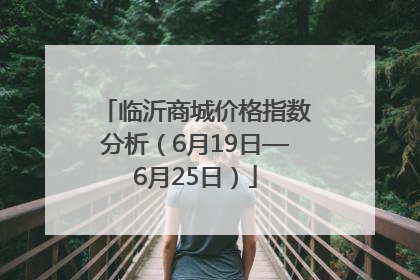 临沂商城价格指数分析（6月19日—6月25日）