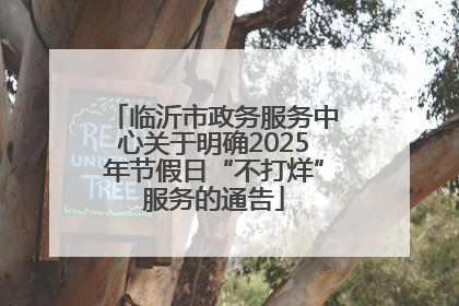 临沂市政务服务中心关于明确2025年节假日“不打烊”服务的通告