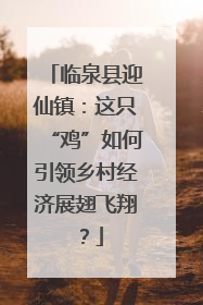 临泉县迎仙镇：这只“鸡”如何引领乡村经济展翅飞翔？