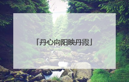 丹心向阳映丹霞