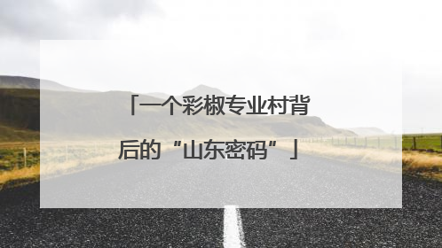 一个彩椒专业村背后的“山东密码”