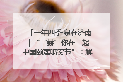 一年四季·泉在济南｜“‘赫’你在一起 中国颐莲喷雾节”：解锁济南夏日消费热潮中的国货新势力