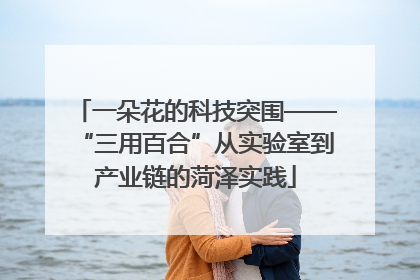 一朵花的科技突围——“三用百合”从实验室到产业链的菏泽实践
