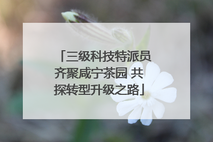三级科技特派员齐聚咸宁茶园 共探转型升级之路