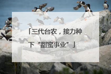 三代台农，接力种下“甜蜜事业”