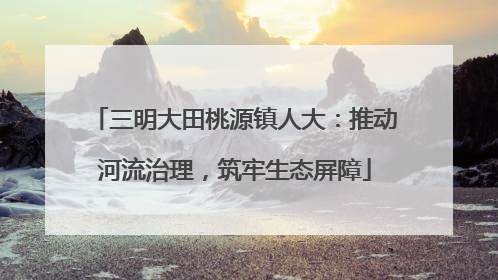 三明大田桃源镇人大：推动河流治理，筑牢生态屏障