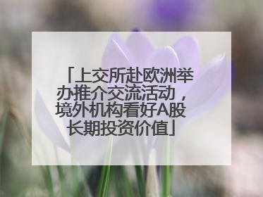 上交所赴欧洲举办推介交流活动，境外机构看好A股长期投资价值